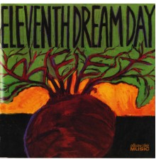 Eleventh Dream Day - Beet