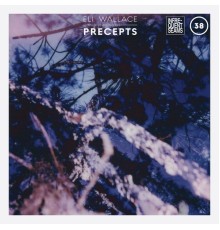 Eli Wallace - Precepts