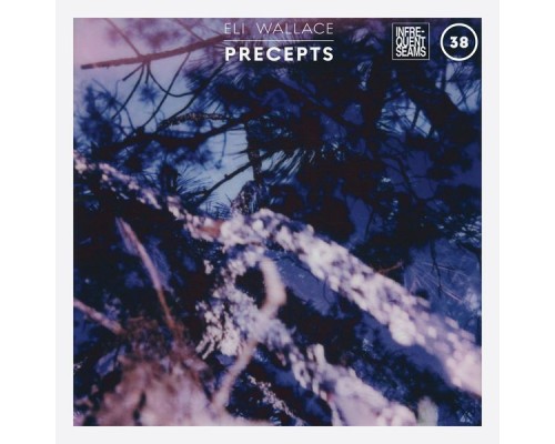 Eli Wallace - Precepts Eli Wallace - Precepts