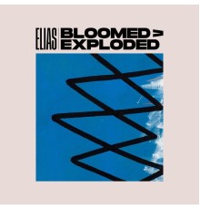 Elias - Bloomed > Exploded