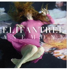 Elifantree - Anemone