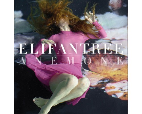 Elifantree - Anemone