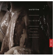 Elision Ensemble - world-line