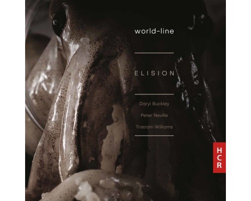 Elision Ensemble - world-line