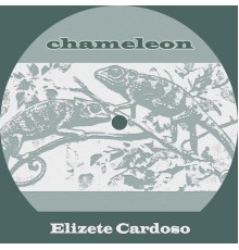 Elizete Cardoso - Chameleon