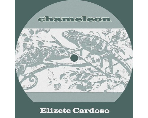 Elizete Cardoso - Chameleon