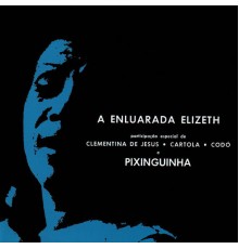 Elizeth Cardoso - A Enluarada Elizeth