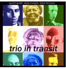 Elliott Sharp, Denis Charles & Steve Piccolo - Trio in Transit (Live)