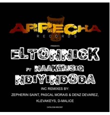 Eltonnick feat NaakMusiQ - Ndiyindoda