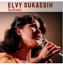 Elvy Sukaesih - Sukses