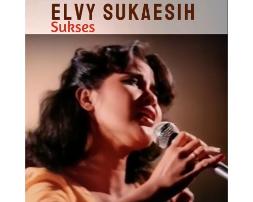 Elvy Sukaesih - Sukses