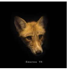 Emarosa - Versus Reimagined