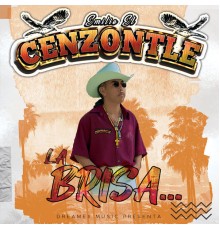 Emilio El Cenzontle - La Brisa