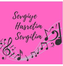 Emine Cingil - Sevgiye Hasretim Sevgilim