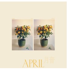 Emmy The Great - April/月音