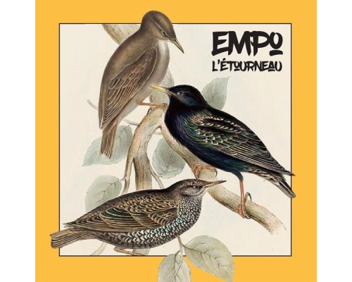 Empo - L'Etourneau