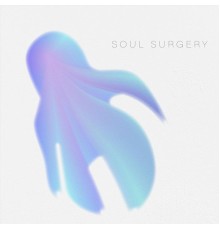 End the Program - Soul Surgery