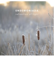 Endemoniada - Refraction Of Light