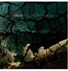 Enduser - Calling the Vultures