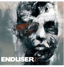 Enduser - 1-3