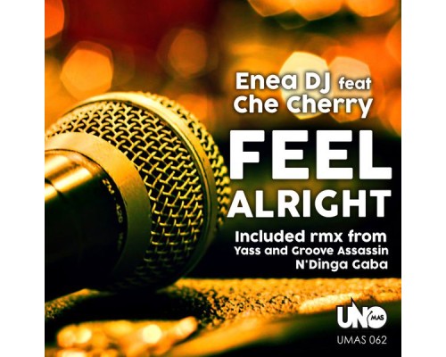 Enea DJ - Feel Alright