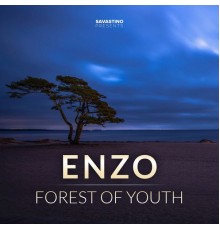 Enzo - FOREST OF YOUTH