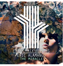 Eric Alamango - The Miracle