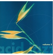 Eric Cunningham, Chris Lang, Jacqueline Santillan - Acid Jazz, Vol. 3