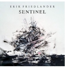 Erik Friedlander - Sentinel