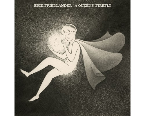 Erik Friedlander - A Queens' firefly