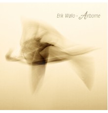 Erik Wøllo - Airborne