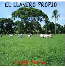 Ernesto Andrea - El Llanero Propio