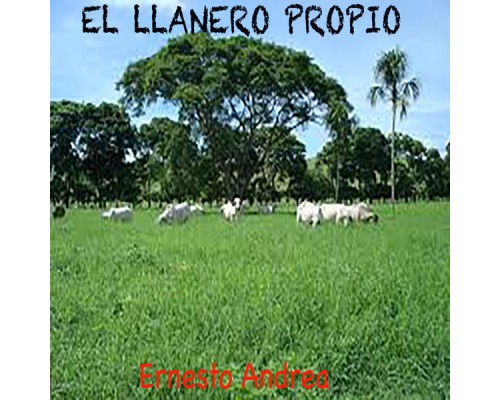 Ernesto Andrea - El Llanero Propio