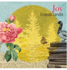 Ernesto Cervini - Joy