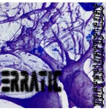 Erratic - Bacteriostaticost