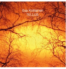 Esa Kotilainen - Tellus