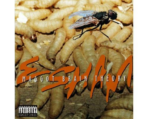 Esham - Maggot Brain Theory