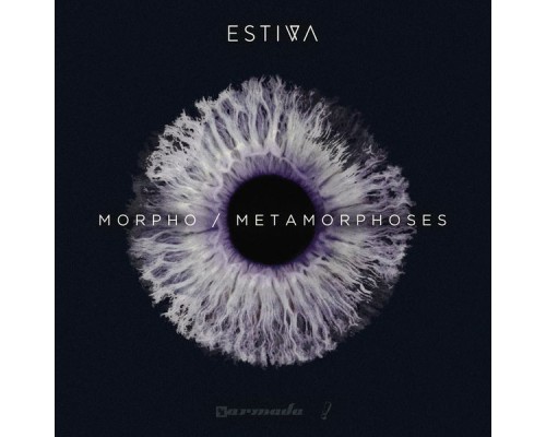 Estiva - Morpho / Metamorphoses