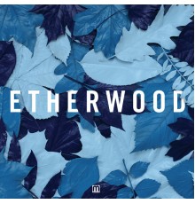 Etherwood - Blue Leaves