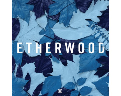 Etherwood - Blue Leaves