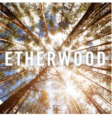 Etherwood - Etherwood