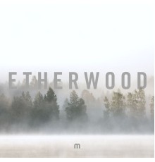 Etherwood - In Stillness