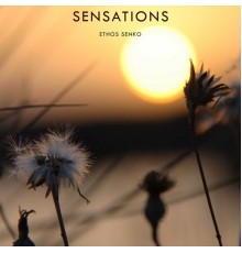 Ethos Senko - Sensations