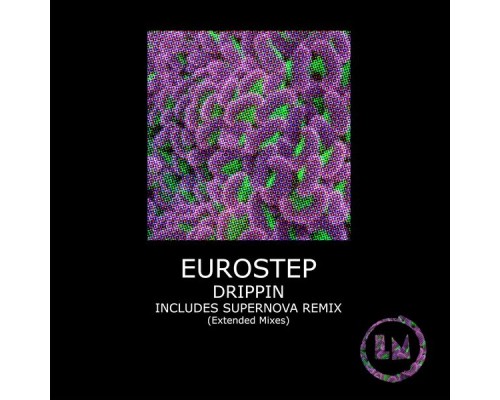 Eurostep - Drippin (Extended Mix)