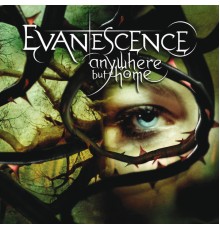 Evanescence - Anywhere But Home (Live)