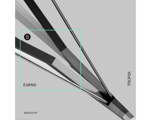Evans - Tropik