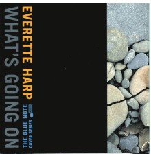 Everette Harp - What's Going On