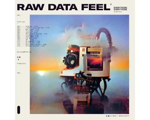 Everything Everything - Raw Data Feel