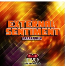 External Sentiment - BreakDown