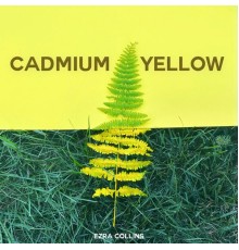 Ezra Collins - Cadmium Yellow